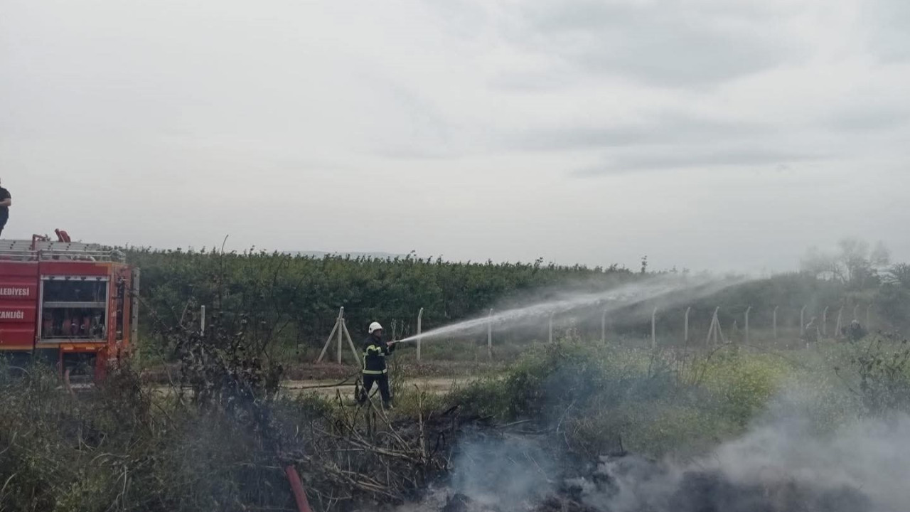 Hatay’da zeytinlikte yangın: Ağaçlar zarar gördü