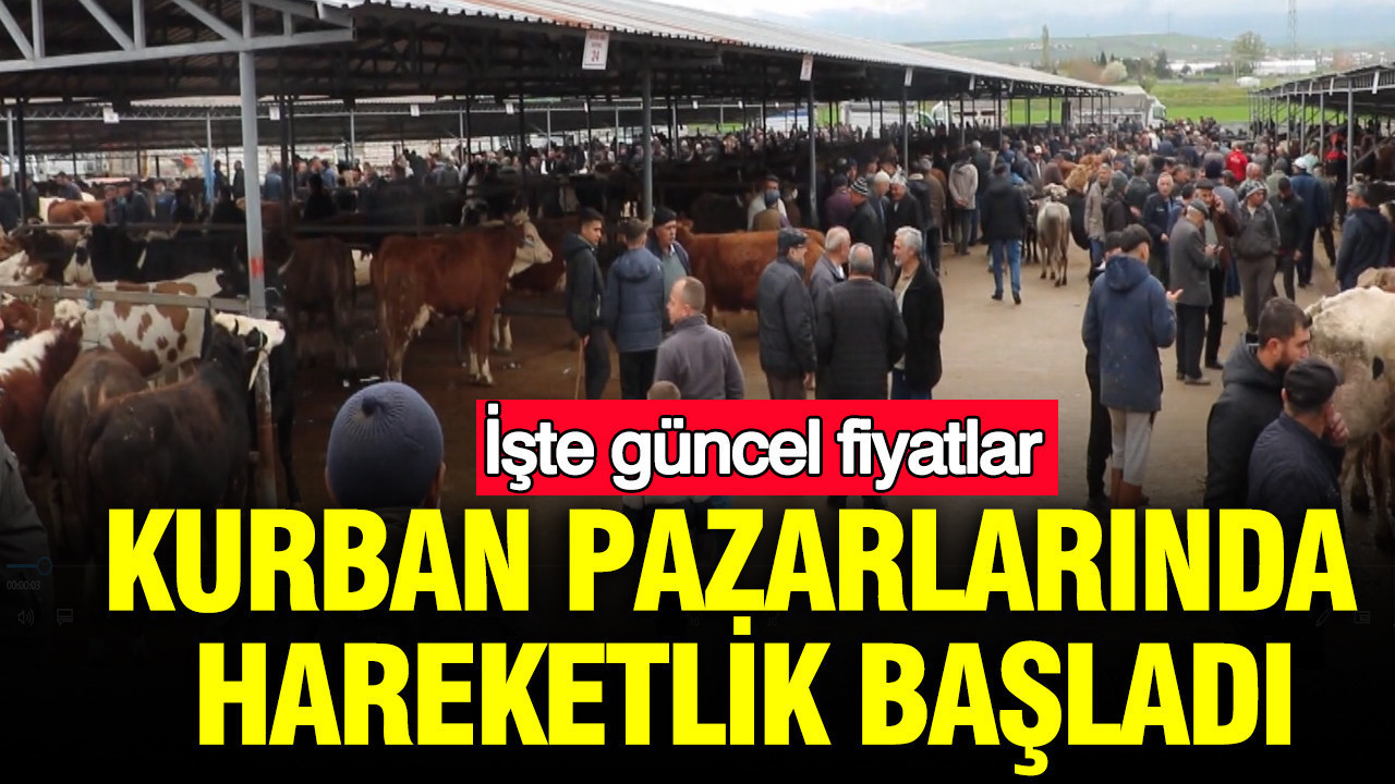 Kurban pazarlarında hareketlik başladı: İşte güncel fiyatlar