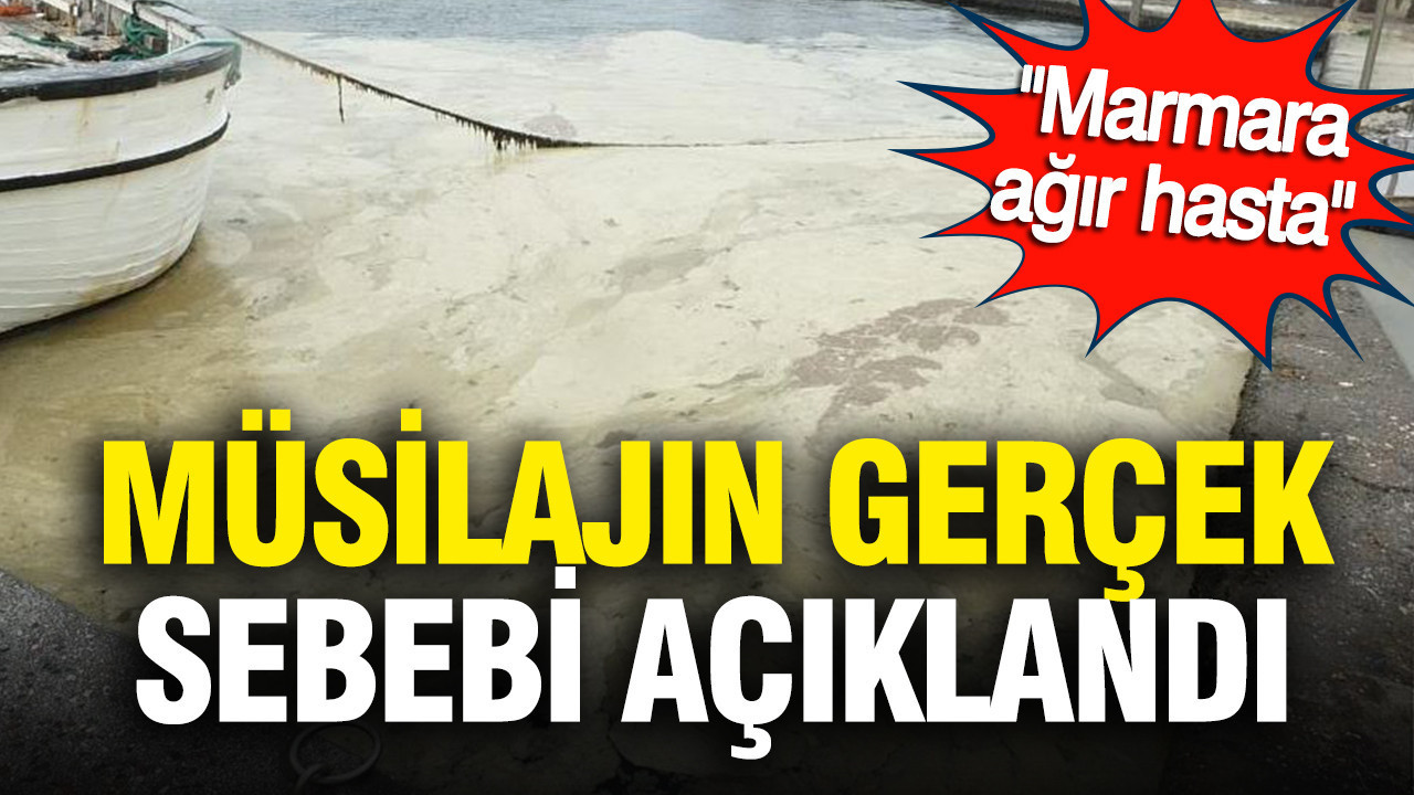 “Marmara ölü değil ama ağır hasta”: Müsilajın esas nedeni açıklandı