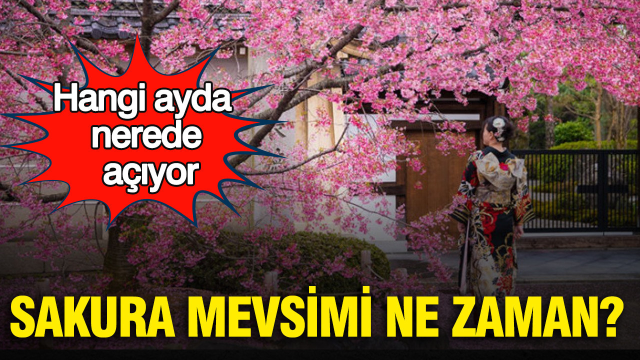 Sakura mevsimi ne zaman? Hangi ayda nerede açıyor?