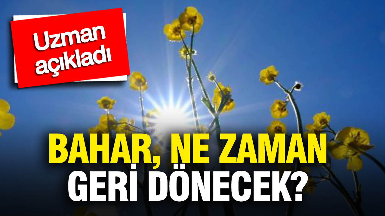 Uzman açıkladı: Bahar ne zaman geri dönecek?