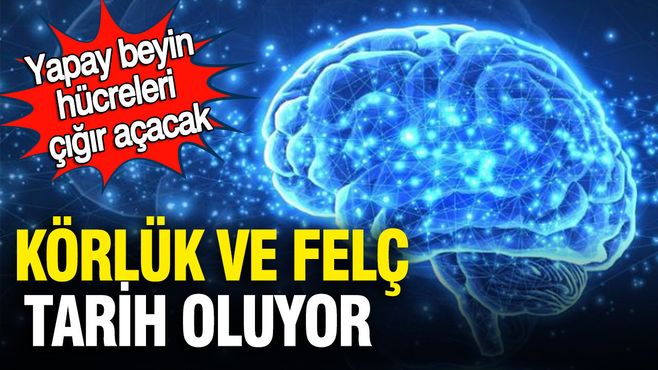 Yapay beyin hücreleri çığır açacak: Körlük ve felç tarih oluyor