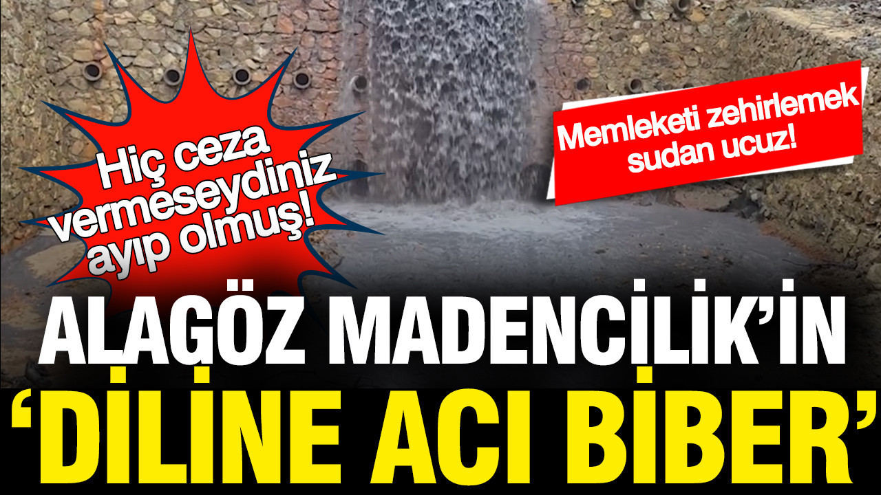 Alagöz Madencilik'in 'diline acı biber': Hiç ceza vermeseydiniz, ayıp olmuş