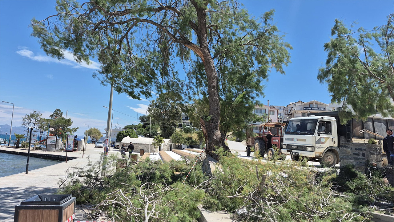 Datça’da rüzgar etkili oldu