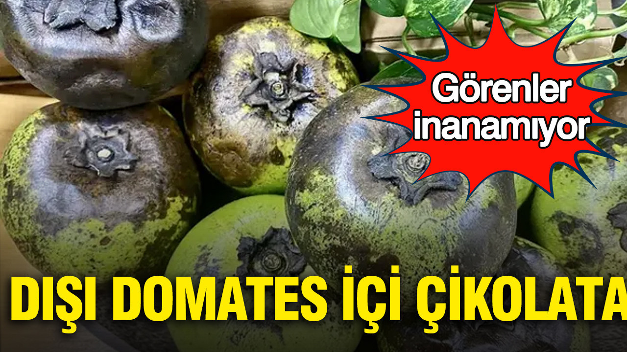 Dışı domates içi çikolata: Görenler inanamıyor