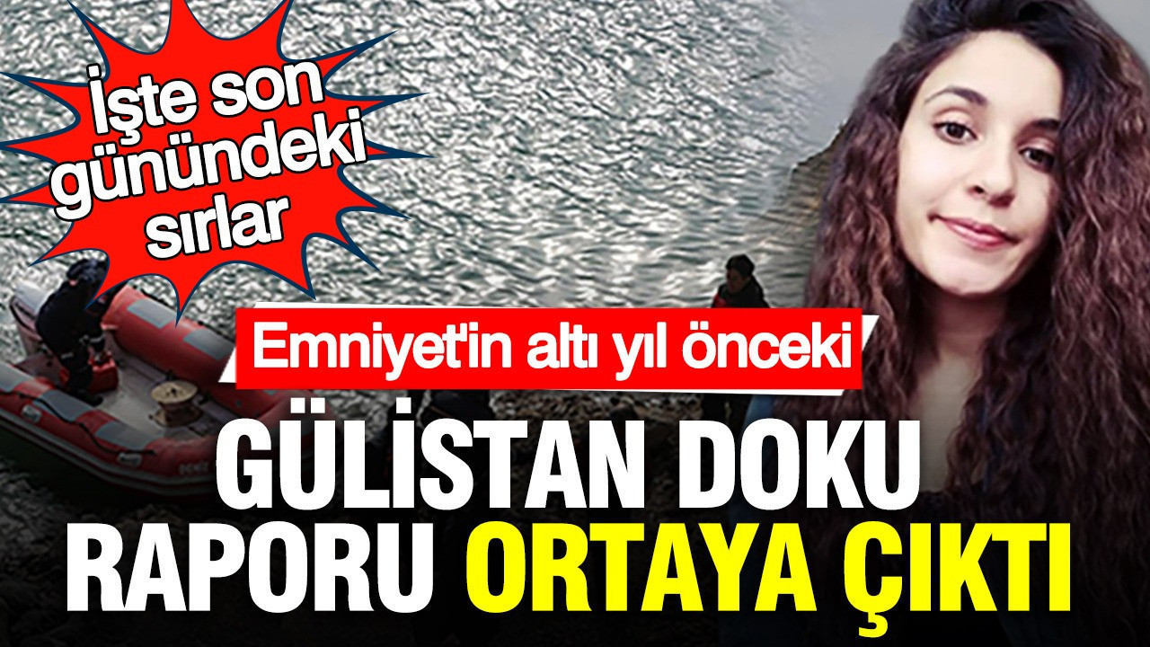 Emniyet'in altı yıl önceki Gülistan Doku raporu ortaya çıktı: İşte son günündeki sırlar
