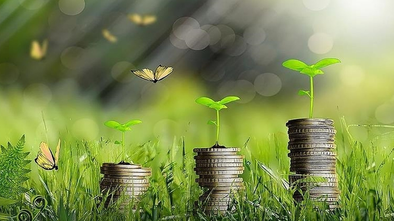 Türkiye Yeşil Fonu'ndan, 30 milyon euro yatırım