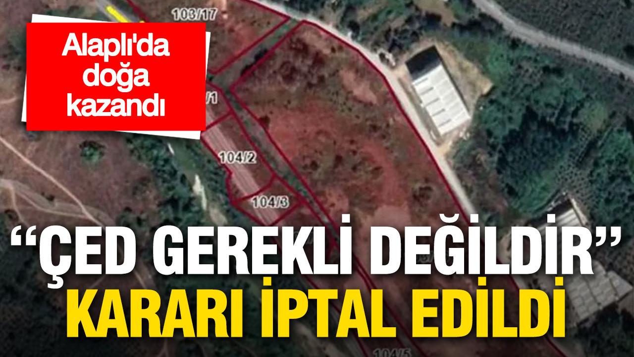Alaplı'da doğa kazandı: "ÇED Gerekli Değildir" kararı iptal edildi