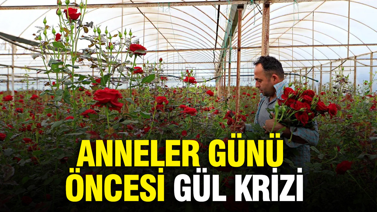 Anneler günü öncesi gül krizi