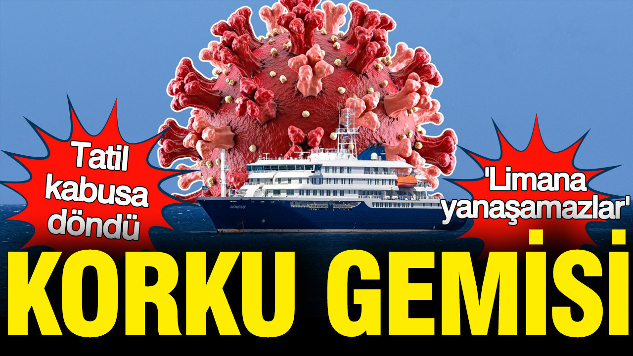 Hantavirüs tatili kabusa çevirdi: Korku gemisi Hondius