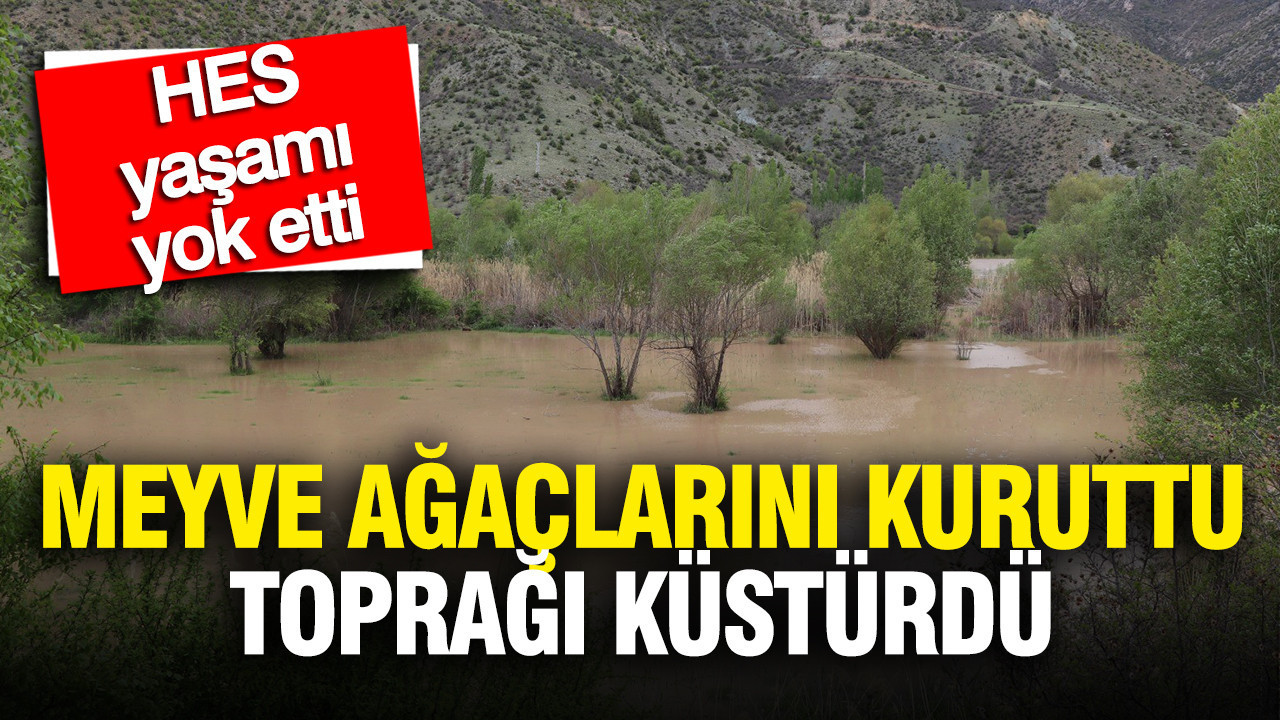 HES yaşamı yok etti: Meyve ağaçlarını kuruttu, toprağı küstürdü