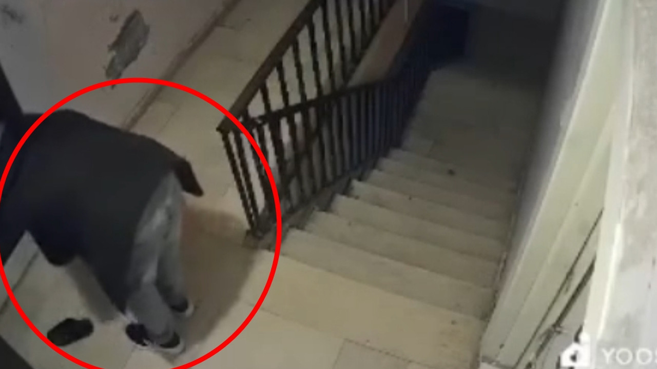 Önce numaraya baktı sonra çaldı: İşte o hırsız