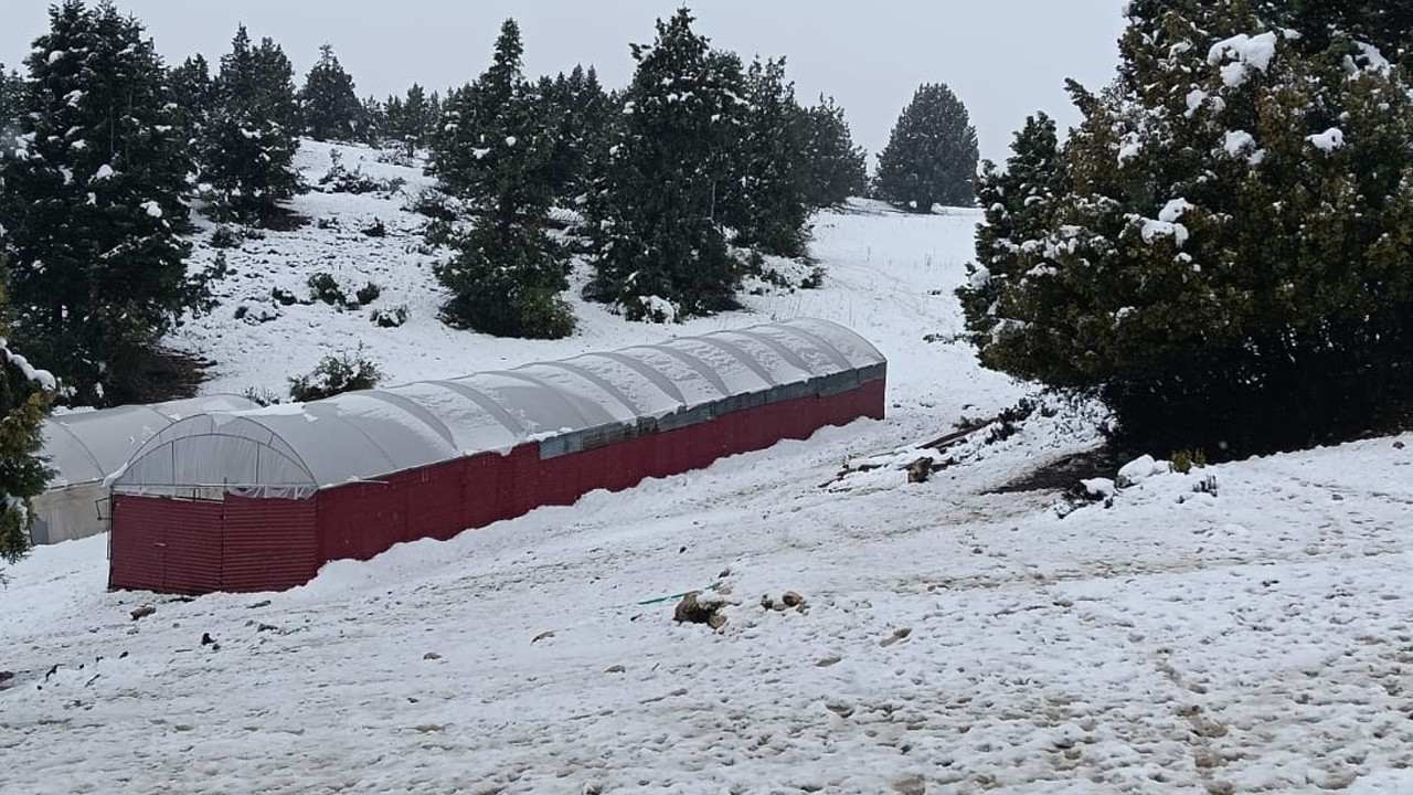 50 yıldır beklenen kar geldi: Her yer beyaza döndü