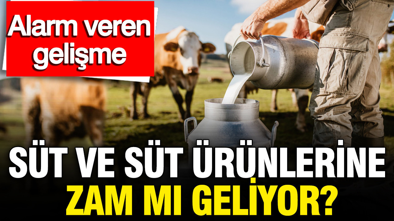 Süt ve süt ürünlerine zam mı geliyor? Üretimdeki sert düşüş alarm veriyor