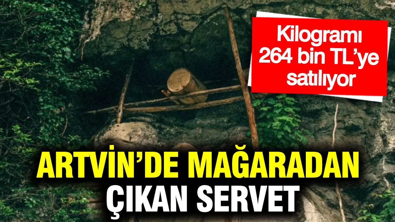 Artvin’de mağaradan çıkan servet: Kilogramı 264 bin TL’ye satılıyor
