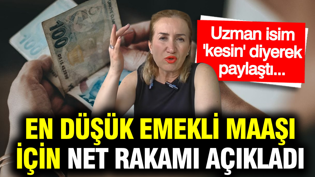 Emekli ve memur temmuz maaş zammında masadaki iki senaryo: SGK uzmanı Dilek Ete açıkladı