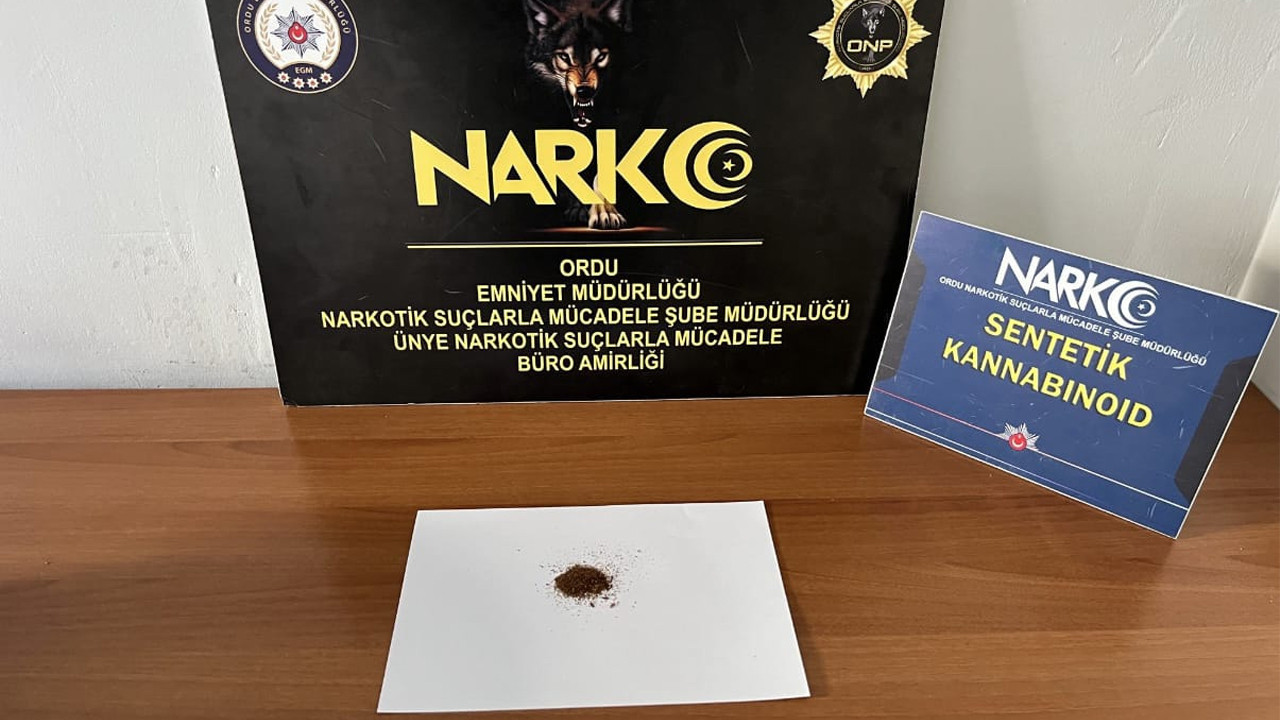 Ordu'da narkotik polisi harekete geçti