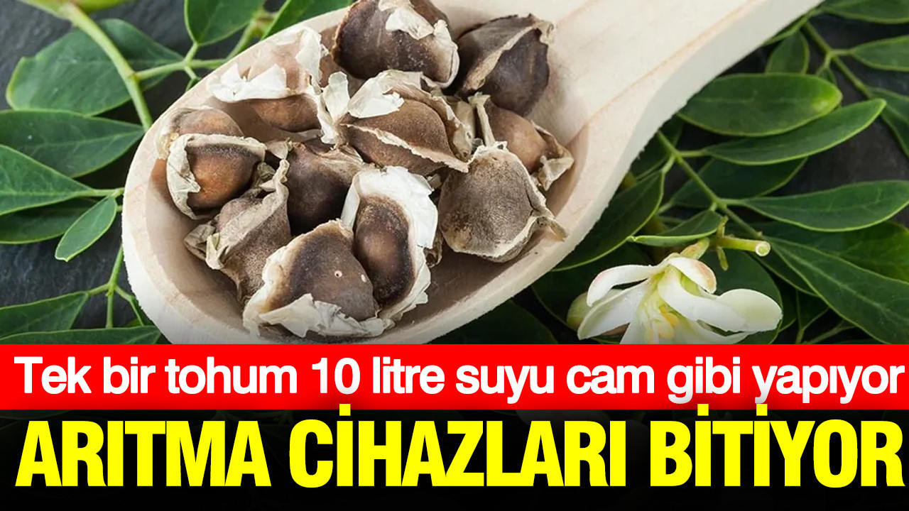 Arıtma cihazları tamamen bitiyor: Tek bir tohum 10 litre suyu cam gibi yapıyor