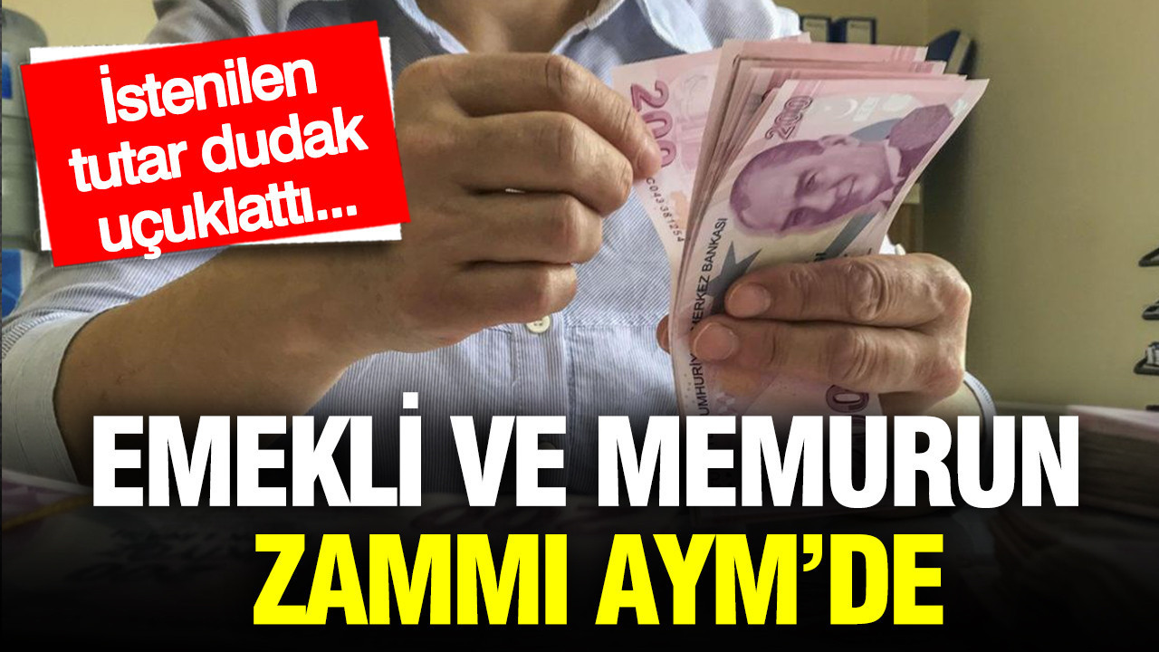 Emekli ve memurun zammı AYM’de: 1,5 milyon TL talep edildi