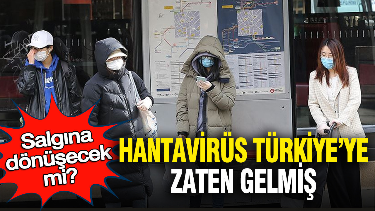 Hantavirüs Türkiye’ye zaten gelmiş: Salgına dönüşecek mi?