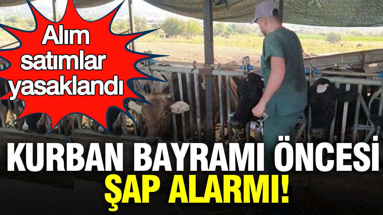Kurban Bayramı öncesi şap alarmı: Alım satımlar yasaklandı