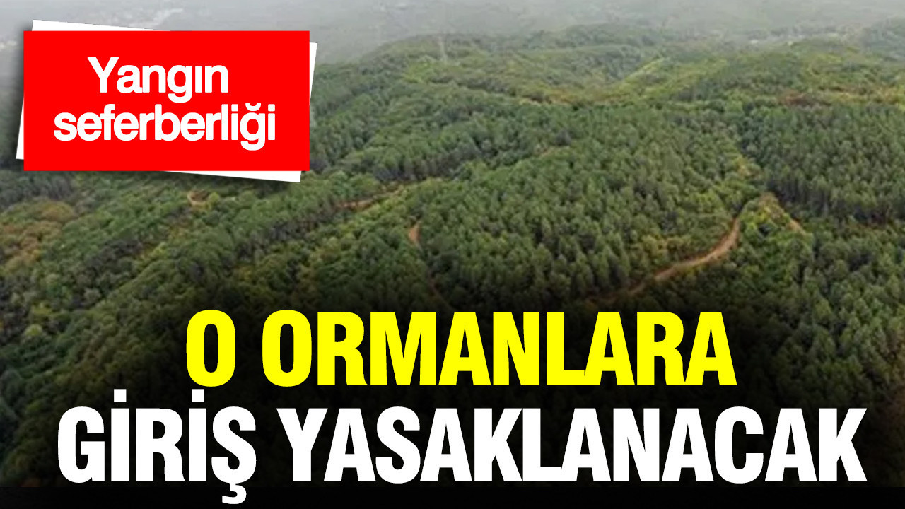 Muğla'da bazı ormanlara giriş yasaklanacak