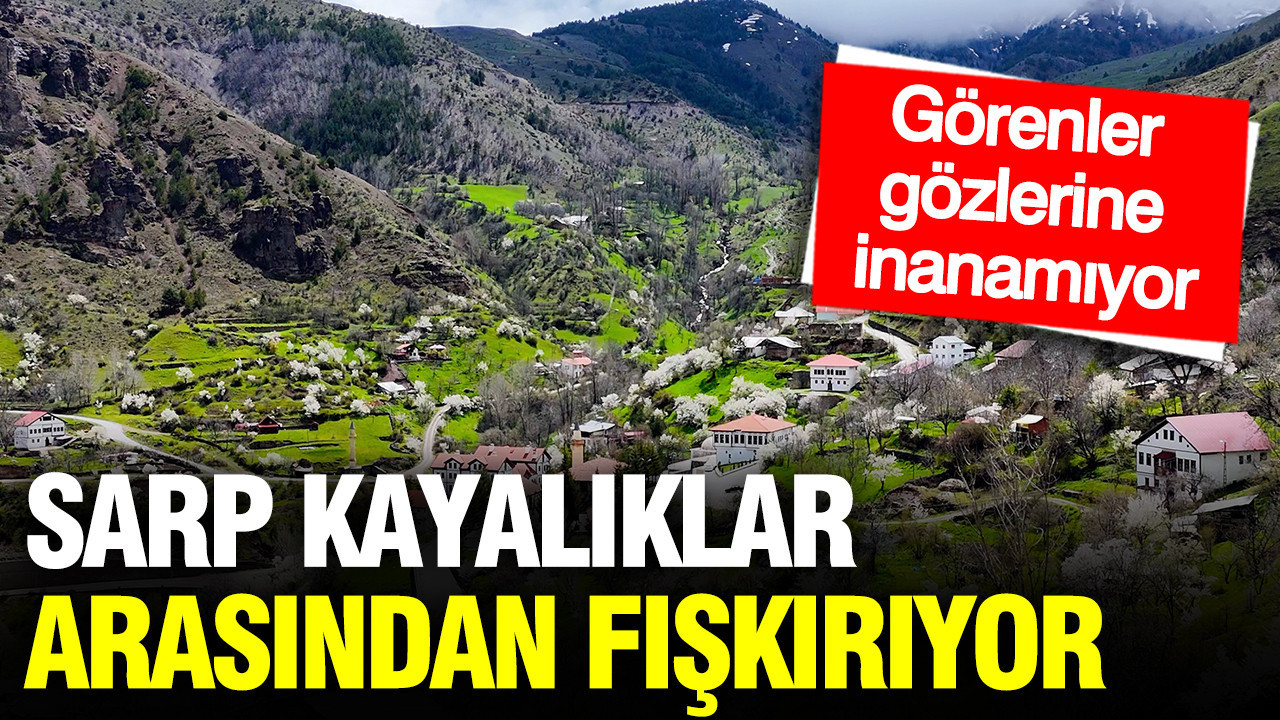 Sarp kayalıklar arasından fışkırıyor: Görenler gözlerine inanamıyor