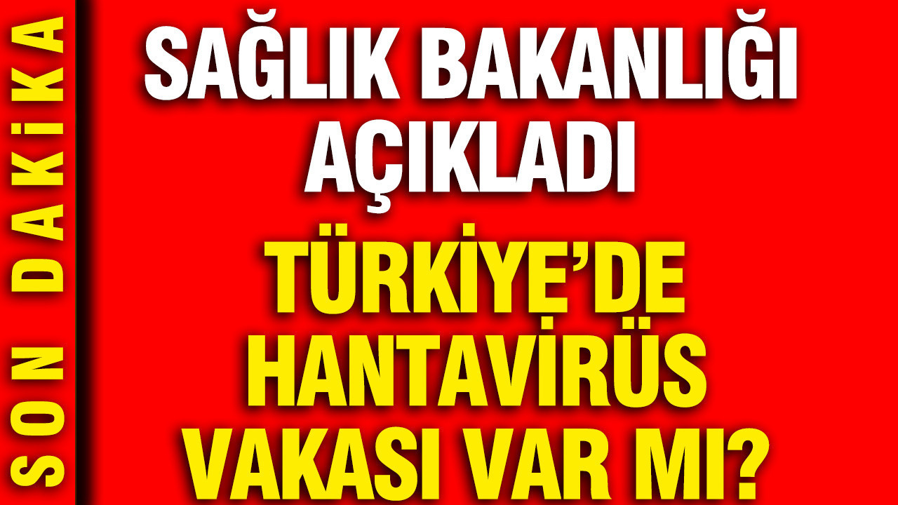 Türkiye'de hantavirüs vakası var mı? Sağlık Bakanlığı açıkladı