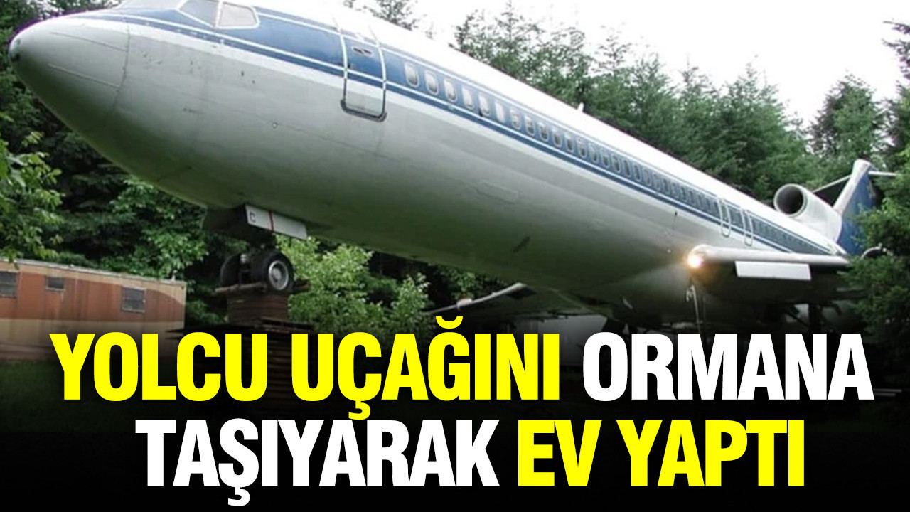 Yolcu uçağını ormana taşıyarak ev yaptı: Görenler inanamadı