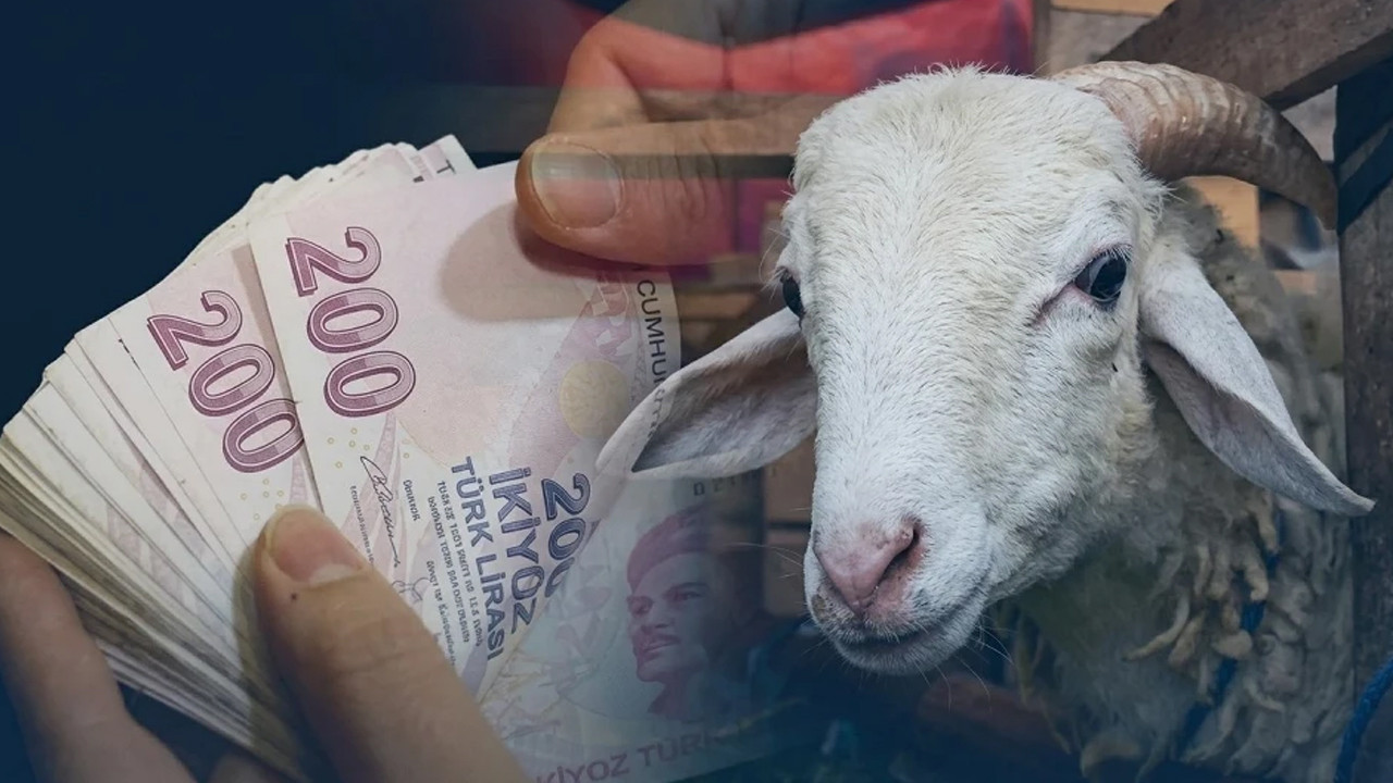 Muş'ta kurbanlık seferberliği: 50 bin hayvan yola çıktı, fiyatlar 200 bin TL'den başlıyor