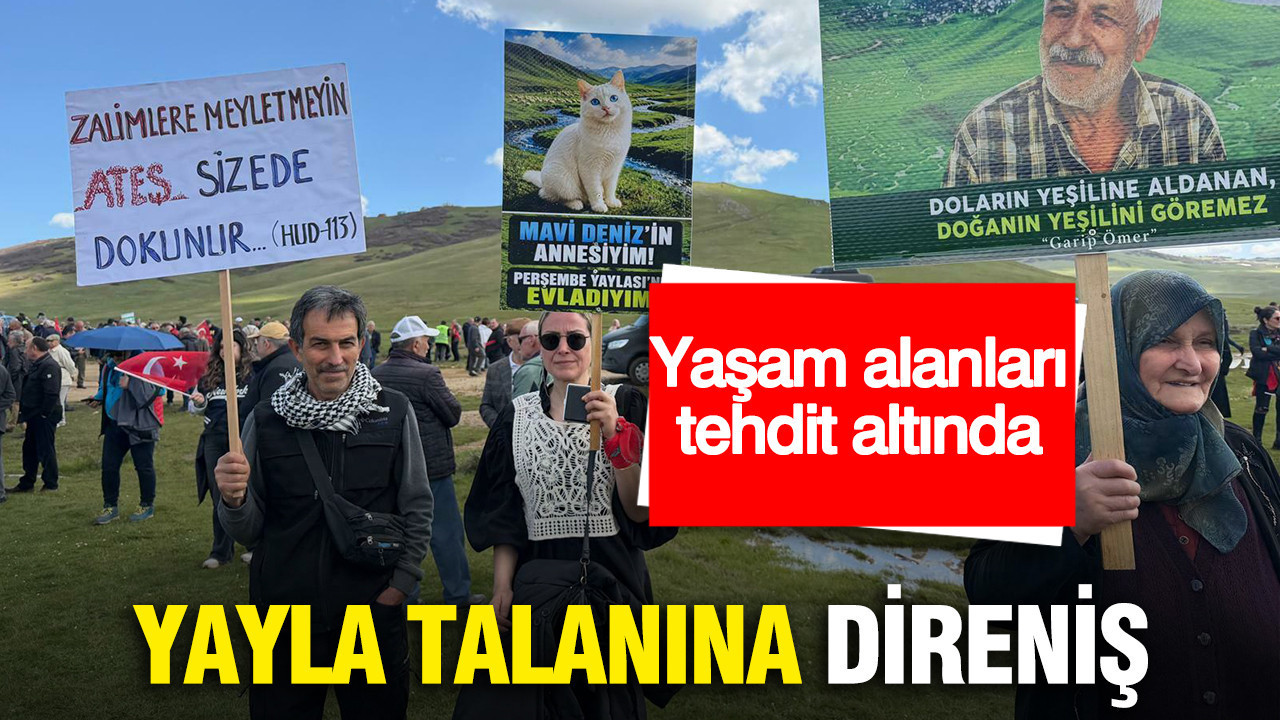 Ordu’da yayla direnişi: Maden aramalarına tepki sürüyor