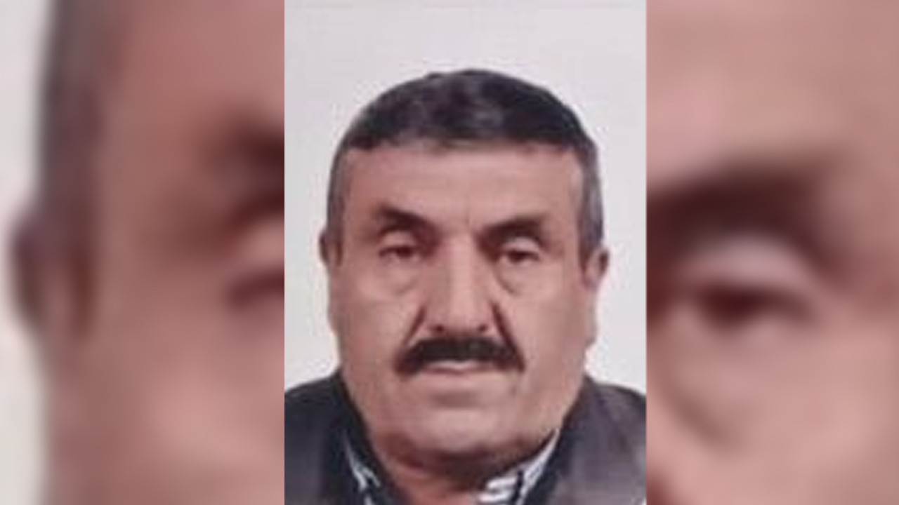 Emekli bir kişi devrilen ağacın altında can verdi