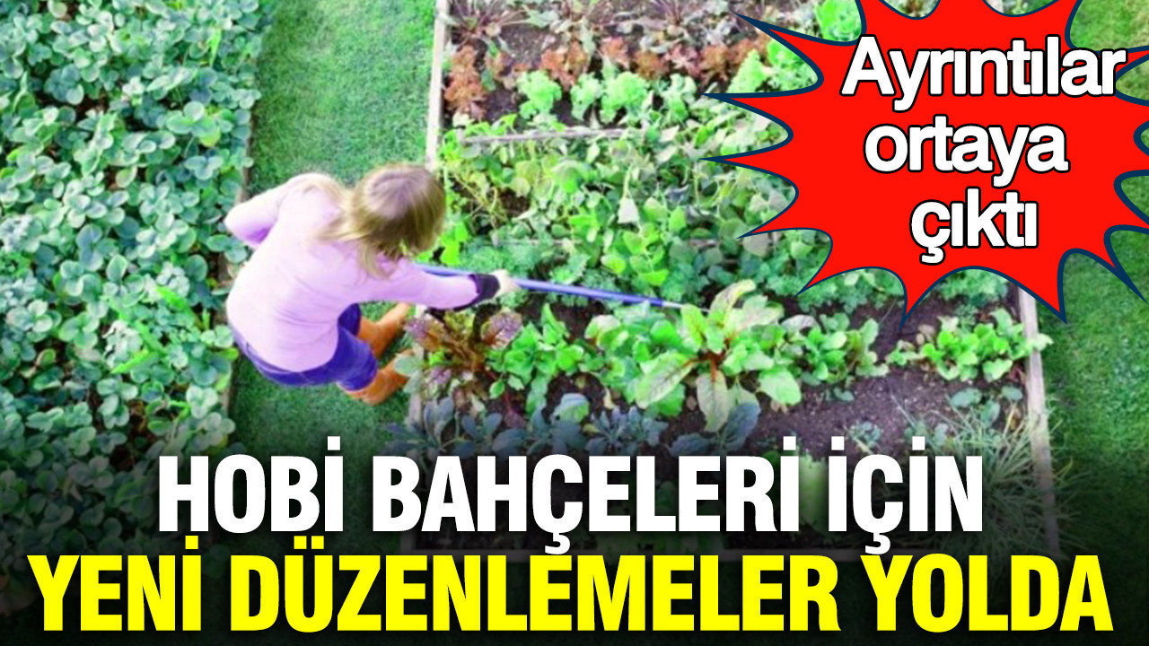 Hobi bahçeleri için yeni düzenlemeler yolda: Ayrıntılar ortaya çıktı