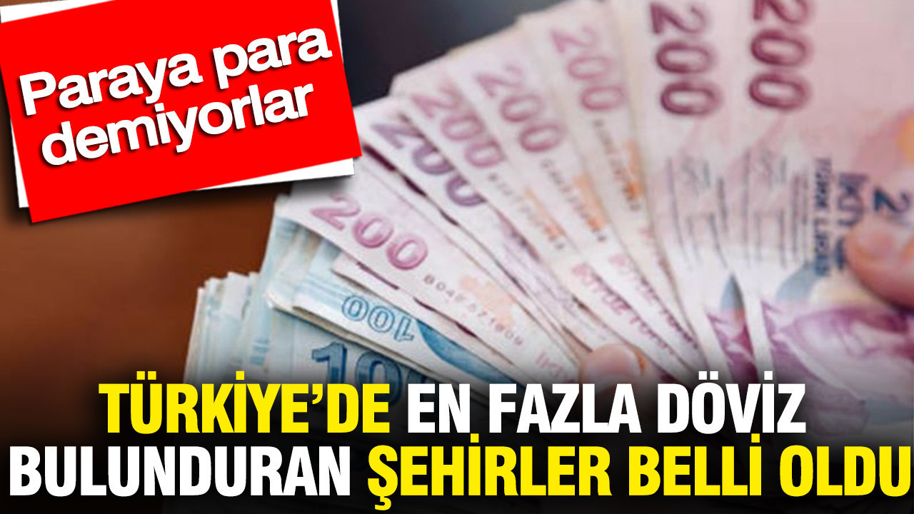 Türkiye’de en fazla döviz bulunduran şehirler belli oldu: Paraya para demiyorlar