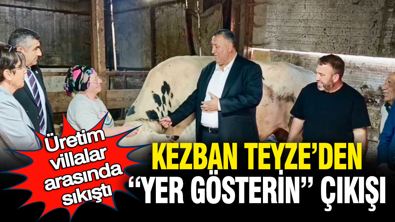 Üretim, villalar arasında sıkıştı: Kezban Teyze'den devlete "yer gösterin" çağrısı