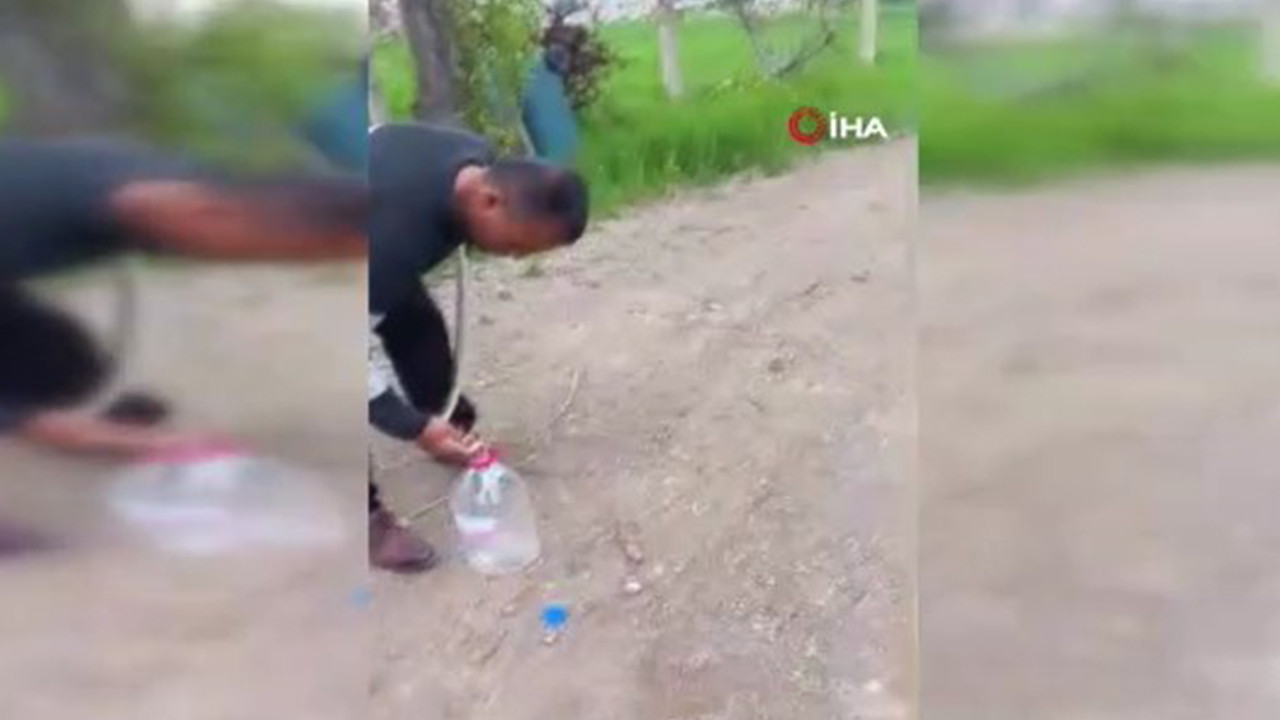 Ankara’da yılan paniği
