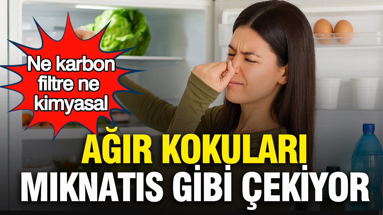 Ağır kokuları mıknatıs gibi çekiyor: Ne karbon filtre ne kimyasal