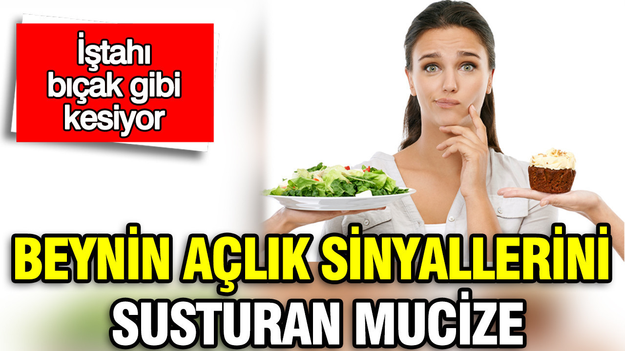 Beynin açlık sinyallerini susturan mucize: 2026’nın iştah kesen gizli kahramanları