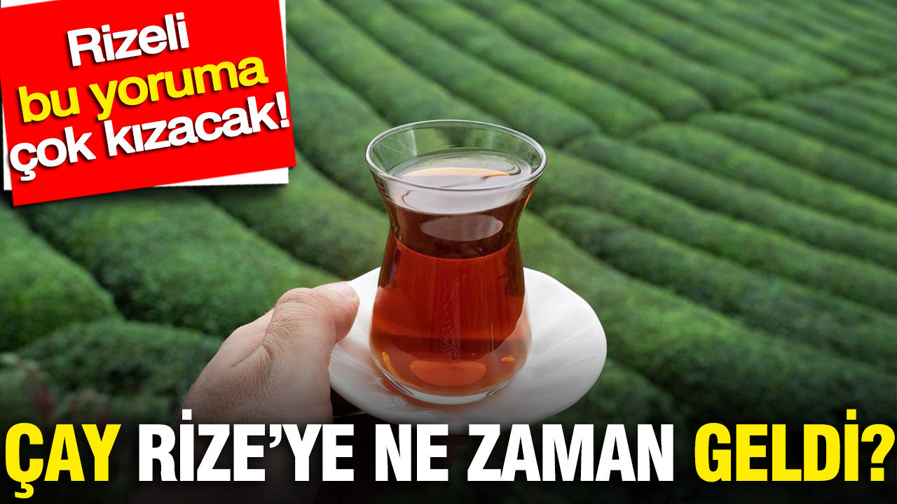 Çay Rize'ye ne zaman geldi? Rizeli bu yoruma çok kızacak