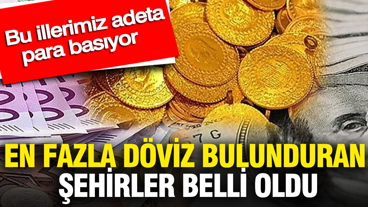 En fazla döviz bulunduran şehirler belli oldu: Bu illerimiz adeta para basıyor