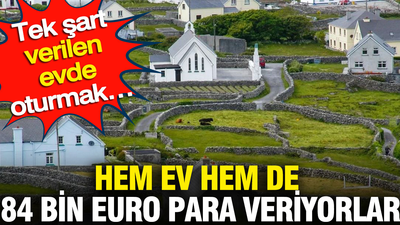 Hem ev hem de 84 bin euro para veriyorlar: Tek şart verilen evde oturmak…