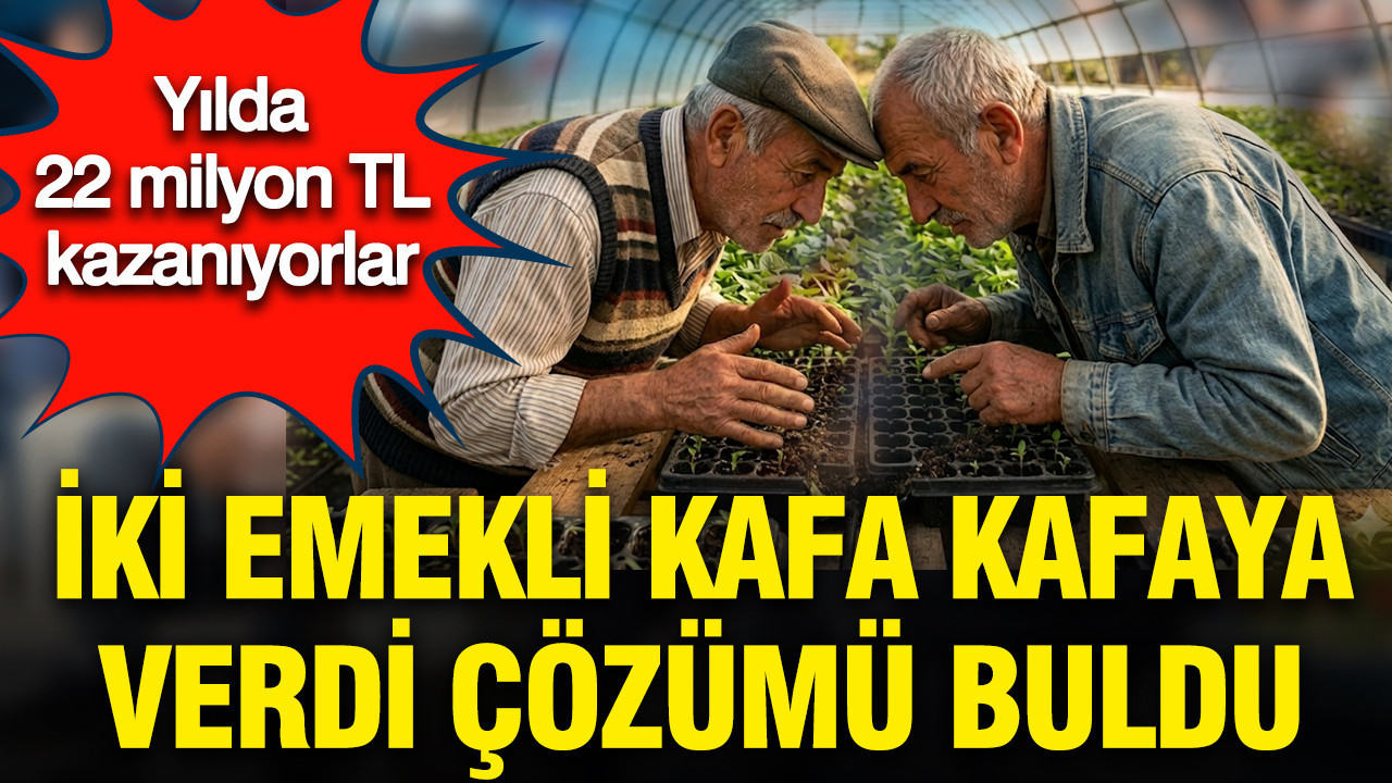 İki emekli kafa kafaya verdi çözümü buldu: Hobi olarak başladılar yılda 22 milyon kazanıyorlar