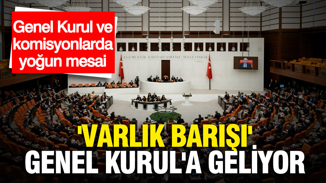 Meclis'te bu hafta gündem yoğun: 'Varlık Barışı' Genel Kurul'a geliyor