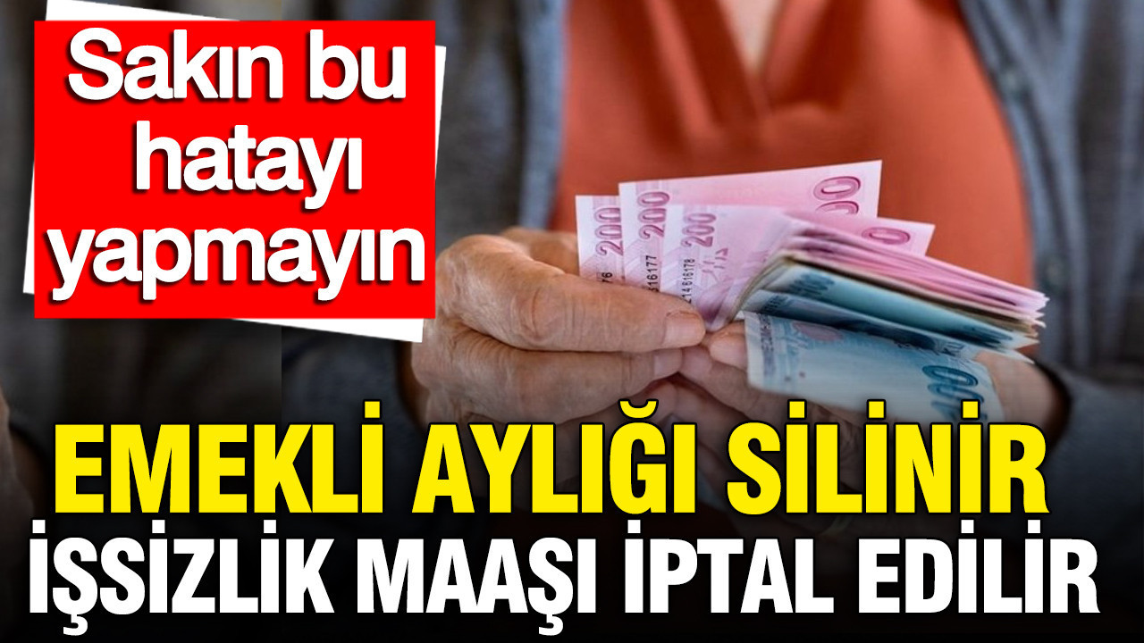 SGK uyardı: Emekli aylığı silinir, işsizlik maaşı iptal edilir, sakın bu hatayı yapmayın