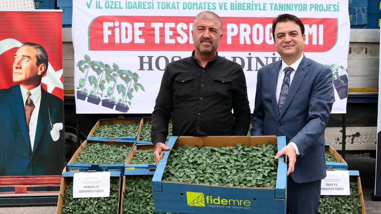Tokat’ta üreticiye büyük destek: Binlerce fide toprakla buluşuyor