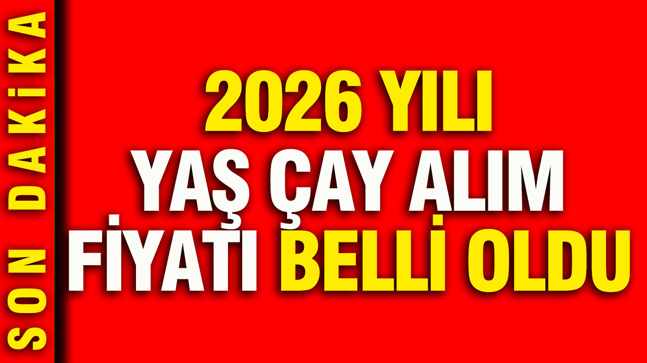 2026 yılı yaş çay alım fiyatı belli oldu