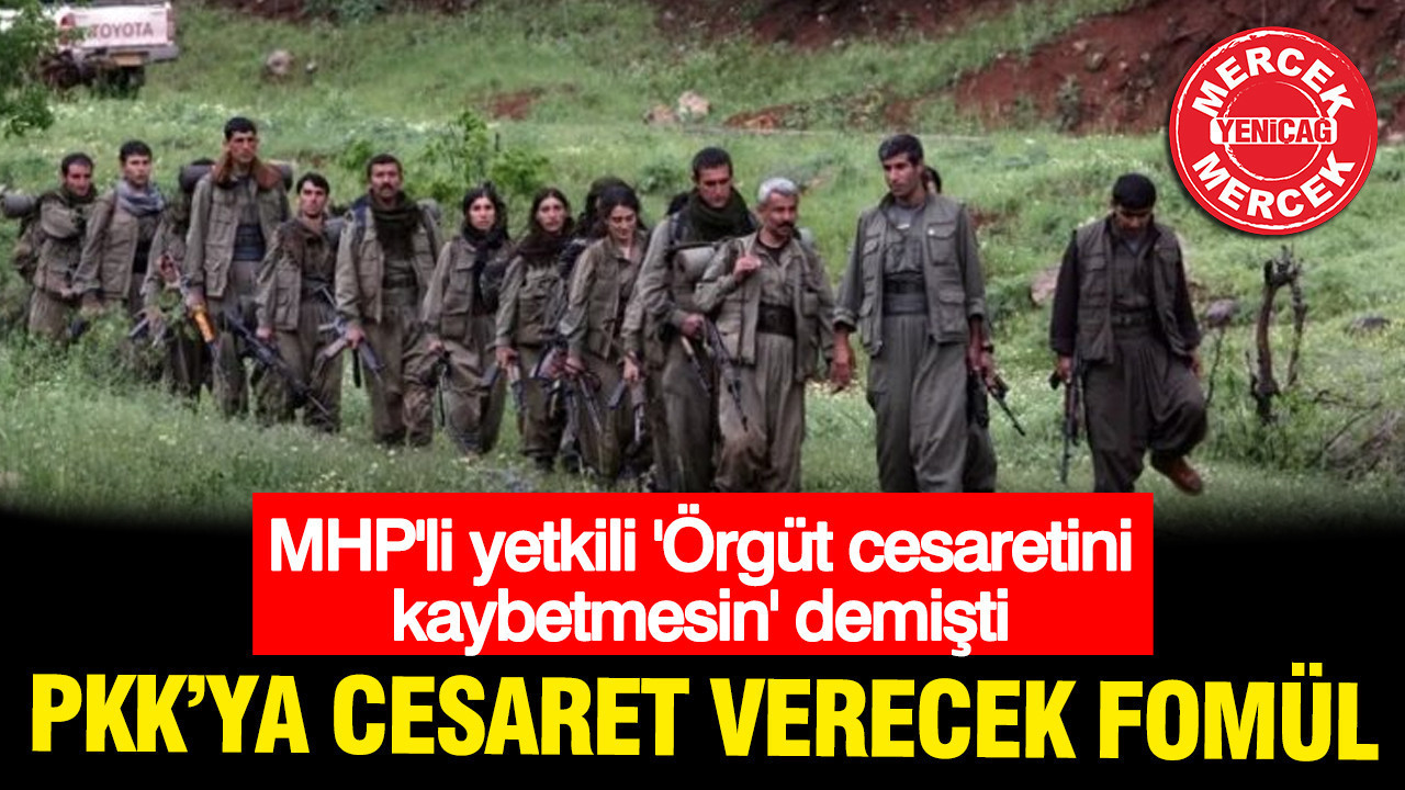 MHP'li yetkili 'Örgüt cesaretini kaybetmesin' demişti, PKK'ya cesaret verecek formül
