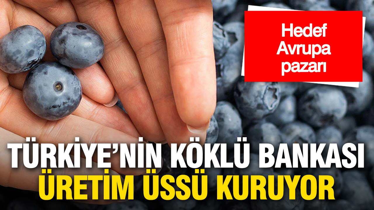 Türkiye’nin köklü bankası yüksek teknolojili üretim tesisi kuruyor