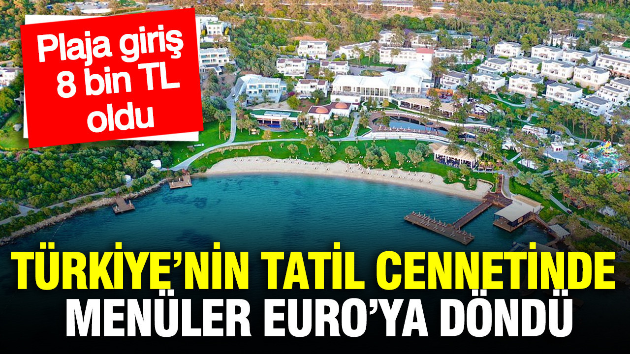 Türkiye’nin tatil cennetinde menüler Euro’ya döndü: Plaja giriş 8 bin TL