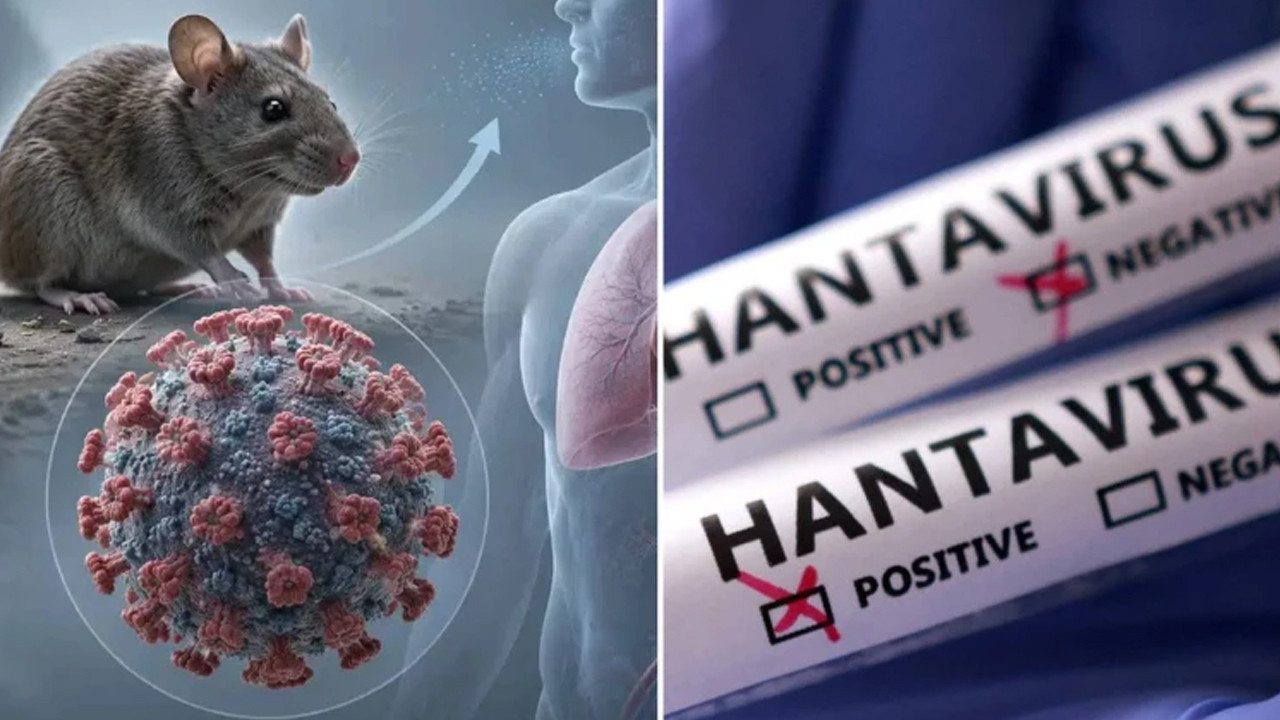 İngiltere'den Hantavirüs hamlesi: 10 kişi karantinada